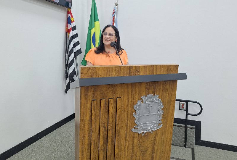 Câmara Municipal questiona medidas para corrigir falhas apontadas pelo Tribunal de Contas