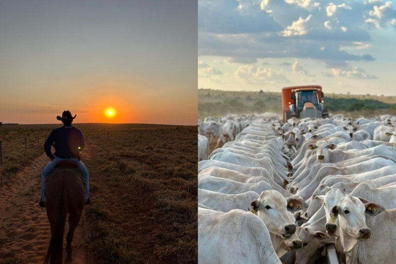 Colpar Agro é eleita a 8ª maior empresa de produção agropecuária do Brasil