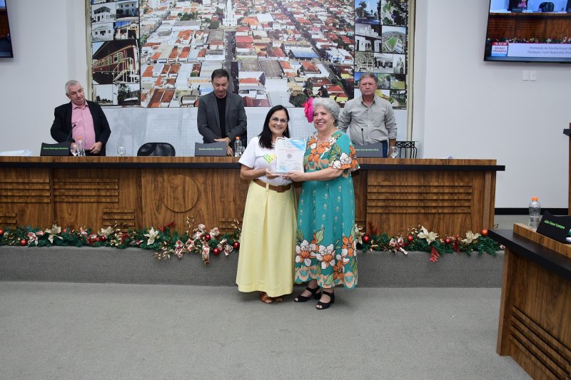 Voluntária Suzel Agnholeto  recebe título de 