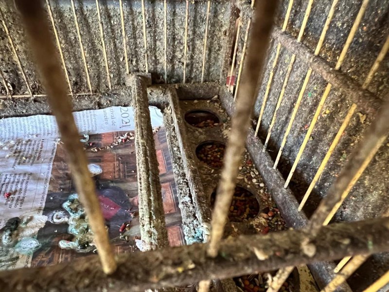 Proprietário de aves é multado em R$ 15 mil por maus-tratos