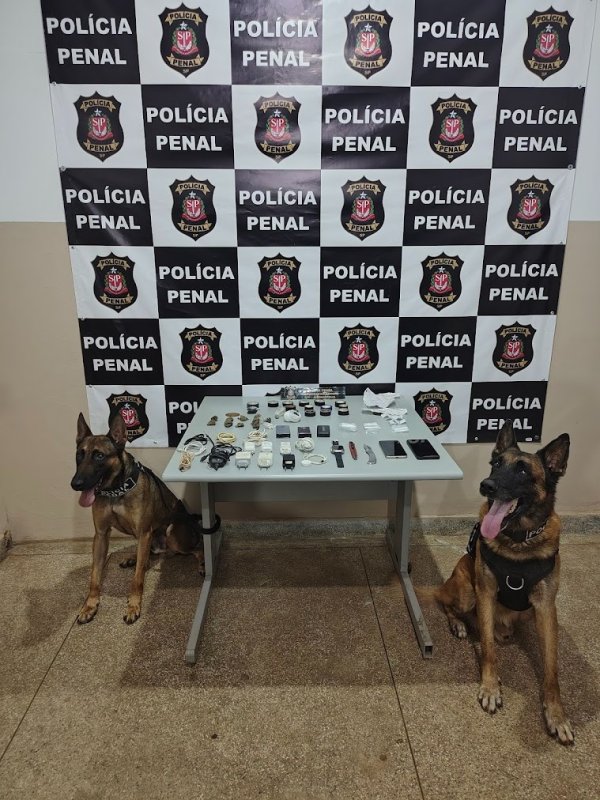 Polícia Penal divulga balanço de apreensões de drogas e objetos nas portas dos presídios paulistas