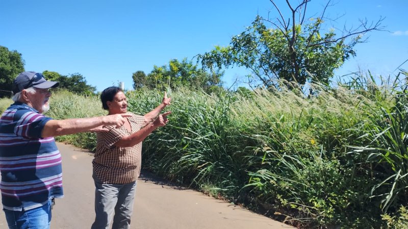 Moradores do bairro Chácara Recreio Mirage reclamam de mato alto em terreno há quase 3 anos