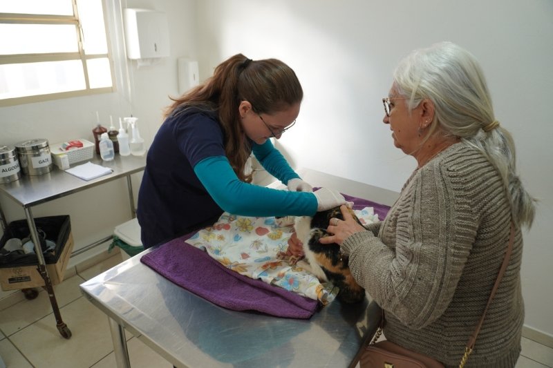 Alesp solicita programa para o atendimento veterinário gratuito