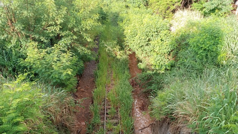 Governo Federal inclui Malha Oeste no cronograma ferroviário em 2026