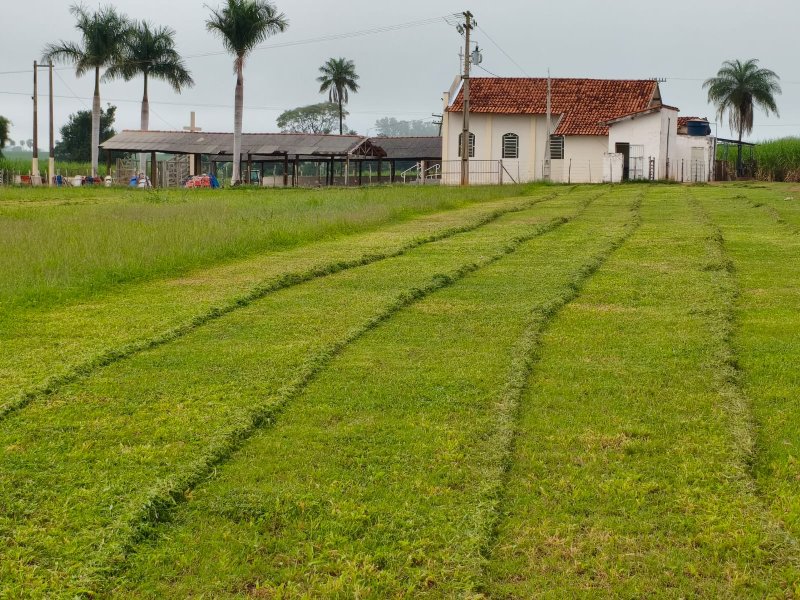 Secretaria de Agricultura efetua roçagem em área do Córrego dos Pintos