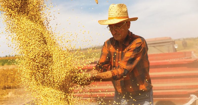 Admissões no setor agropecuário crescem 78,6% entre dezembro e janeiro no Brasil