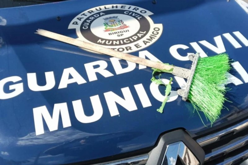 Mulher é levada à delegacia após dar vassouradas em cadela