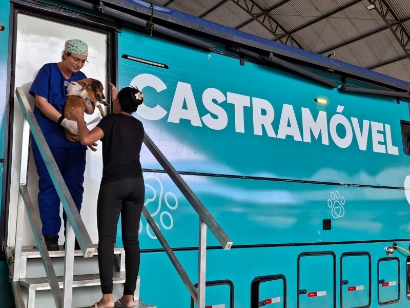 Penápolis e região: Governo divulga balanço sobre castração animal