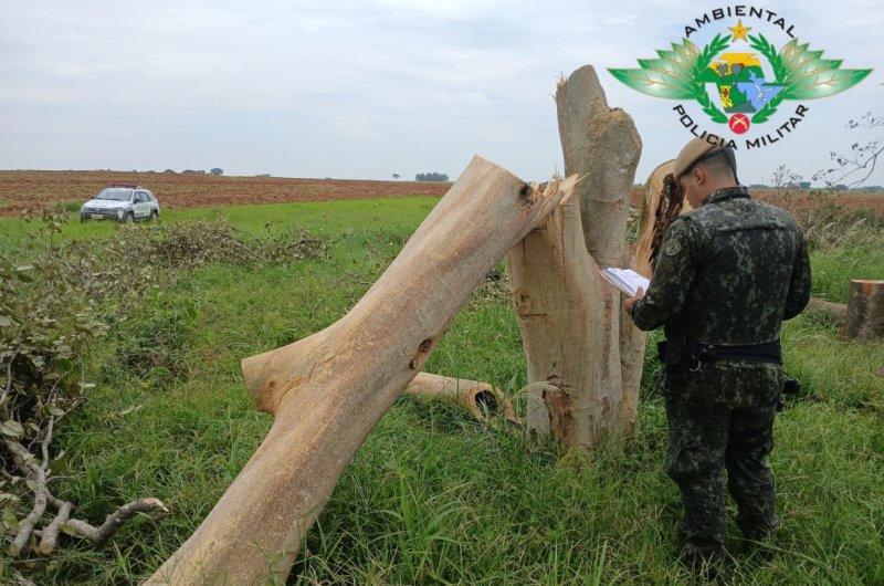 Operação da Polícia Ambiental flagra corte irregular de árvores e aplica multa em Santópolis do Aguapeí