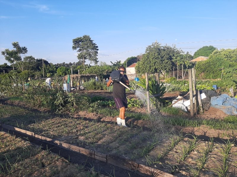 Comemoração: Daep promove ação educativa em hortas comunitárias