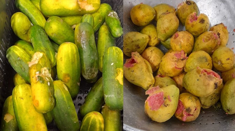 Prefeitura de Penápolis: sindicância é instaurada para apurar merenda escolar