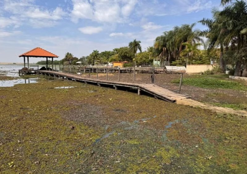 Tietê e afluentes entre Penápolis e Glicério continuam com água esverdeada