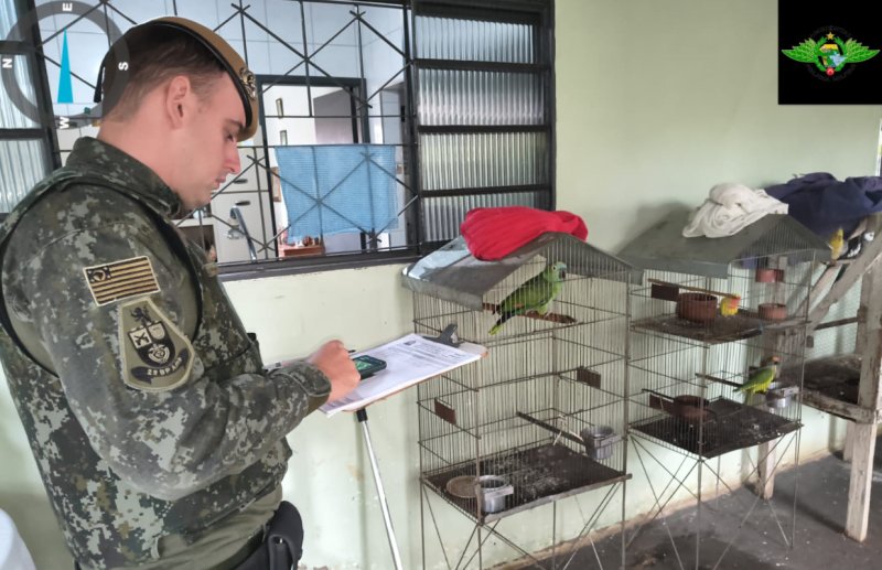 PM Ambiental aplica R$ 4,2 mil em multas por aves mantidas irregularmente em Penápolis