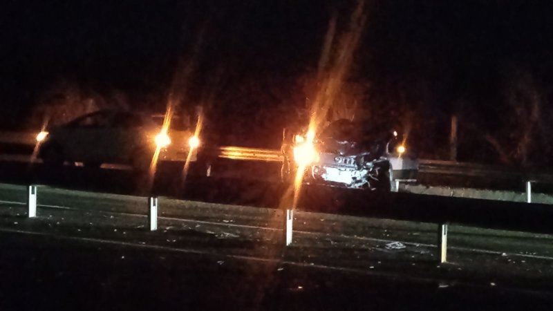 Mulher fica ferida após carro atingir cavalo na Rodovia Arnaldo Covolan