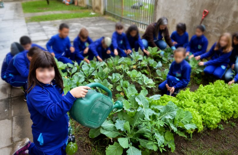 Aprovado projeto para integração entre escolas e hortas comunitárias