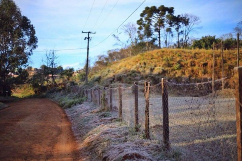 Frio intenso, chuva e até neve: como será o inverno de 2026?