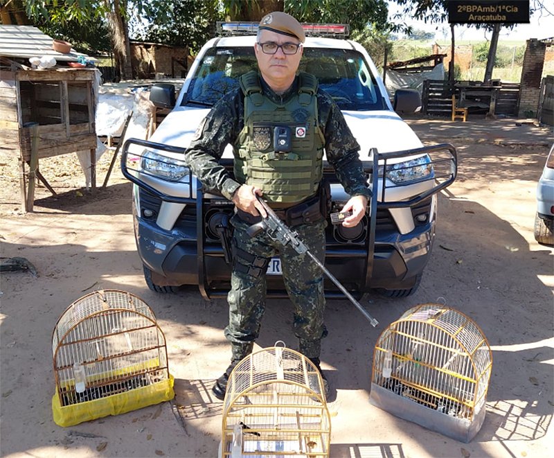 Morador em Barbosa é preso com arma e aves silvestres