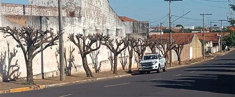Empresa é multada por poda drástica de 27 árvores