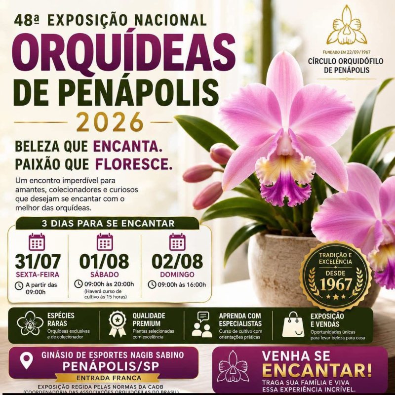 Exposição de Orquídeas: 