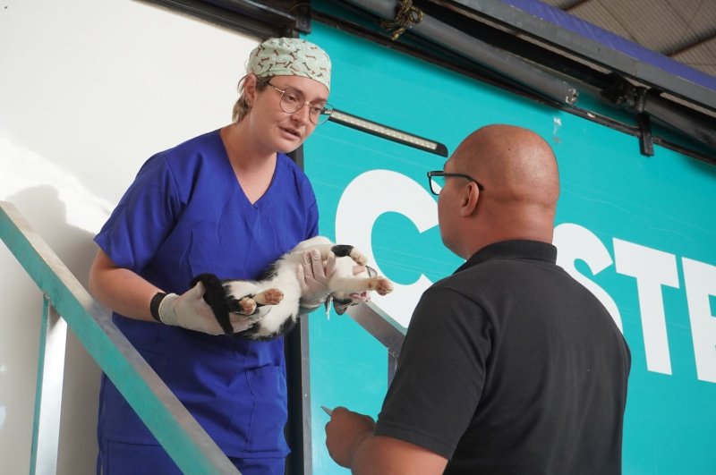 Região: Penápolis integra programa que já castrou 2,6 mil animais