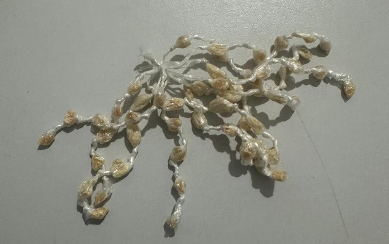 Adolescente é apreendido com 55 porções de crack em Avanhandava