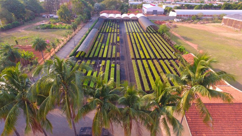 Flora Tietê completa 40 anos e 47 milhões de mudas produzidas