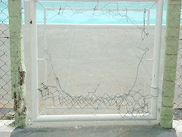 Detalhes Notícia