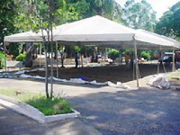Expoflor começa hoje com variedade de flores e plantas
