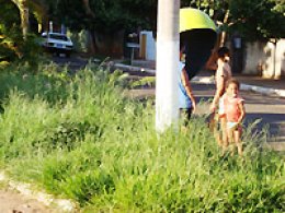 Mutirão de limpeza prossegue em várias regiões
