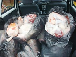 Perigo: Fiscalização apreende 148 kg de carne estragada