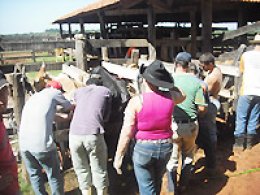 Mais de 20 mil pessoas capacitadas na zona rural