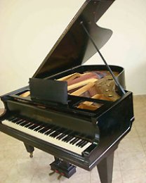 Detalhes Notícia