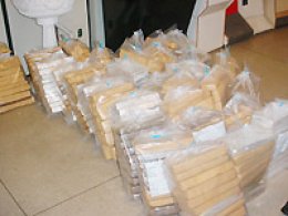 Polícia destrói apreensão recorde de maconha