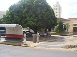 Desfile: Instalação de barraca gera insatisfação de comerciantes