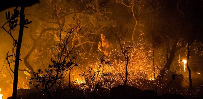 Conheça as leis que regulamentam o uso do fogo no Brasil