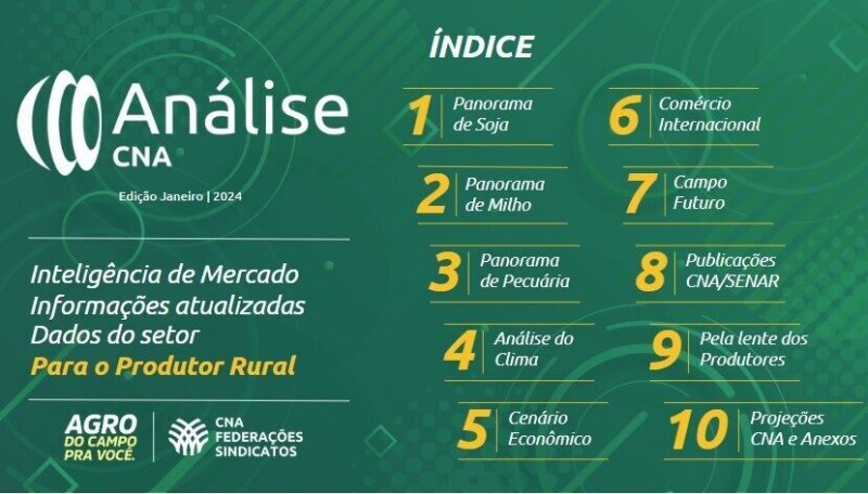 Detalhes Notícia