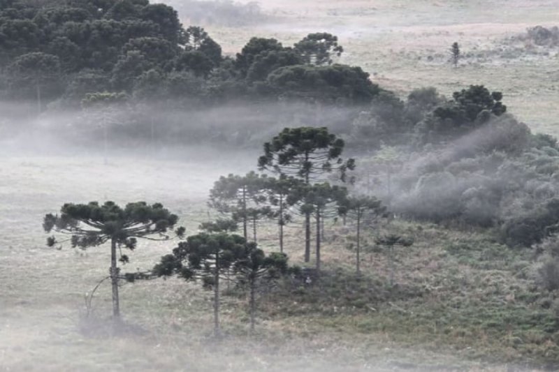 Santa Catarina amanhece com geada, nevoeiros e temperaturas próximas a 0ºC