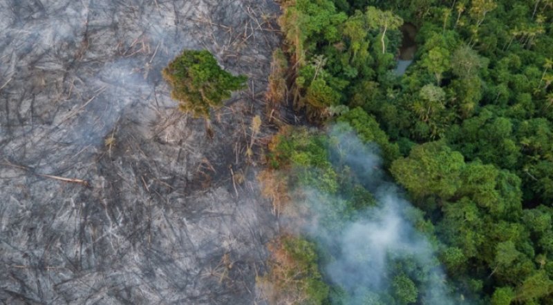 Fundação de Leonardo DiCaprio anuncia doação de US$ 5 milhões para Amazônia