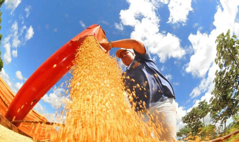 Brasil deve ter nova safra recorde de grãos em 2025/26, diz Conab