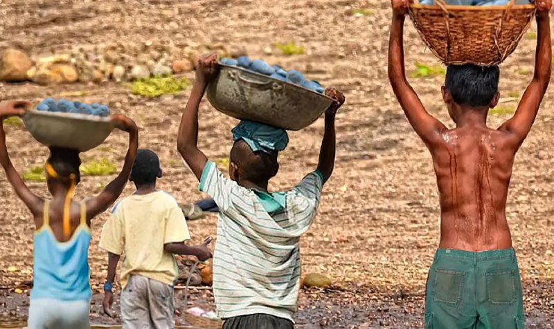 Brasil tem redução recorde na lista Piores Formas de Trabalho Infantil