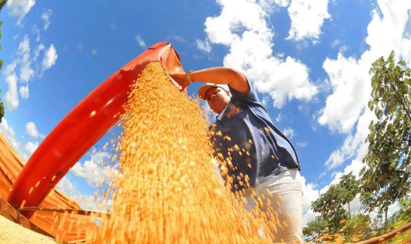 Safra deve recuar 3,7% em 2026, depois de um 2025 recorde