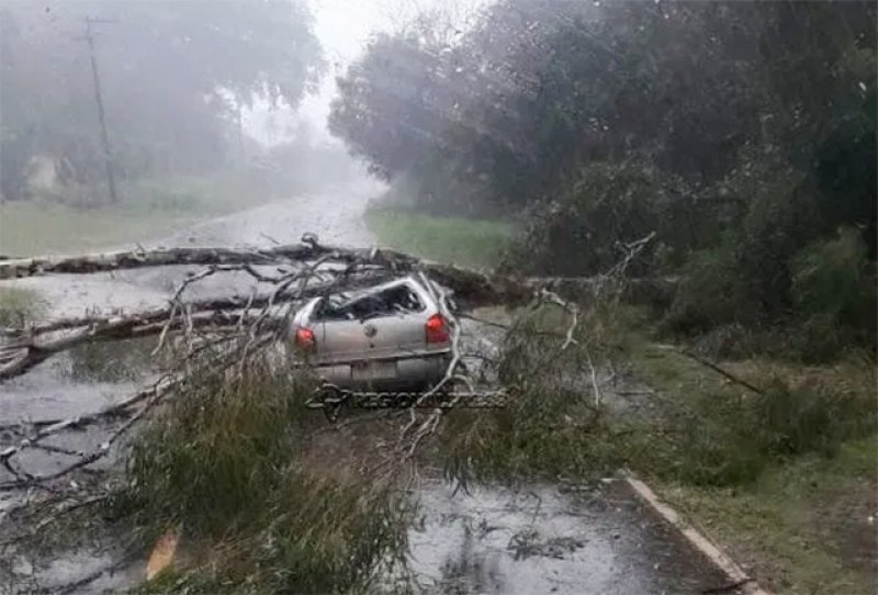Araçatuba e Birigui registram temporal com queda de árvores e granizo