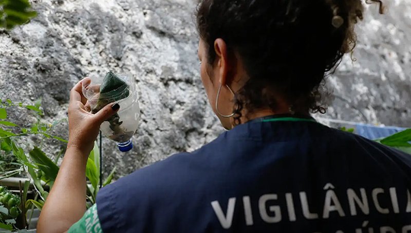 Estado de São Paulo tem mais de 58 mil casos de dengue desde o início do ano