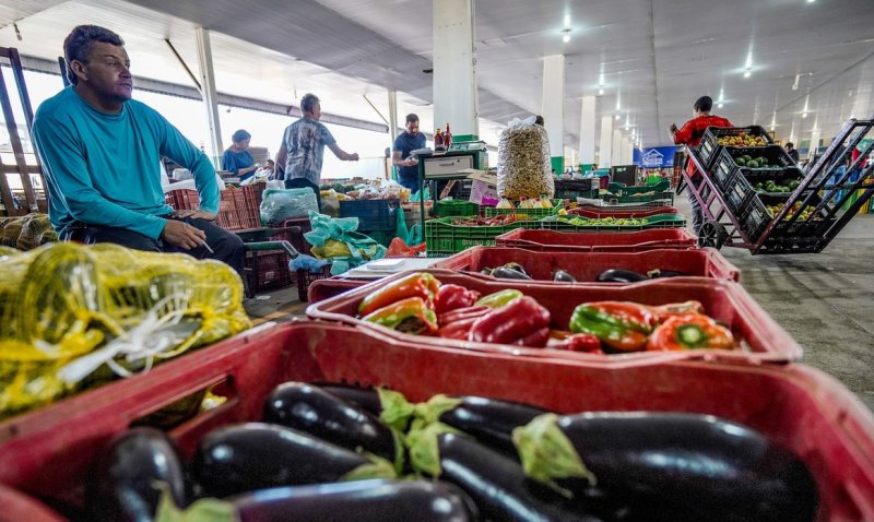 Campanha busca engajamento para reduzir desperdício de alimento
