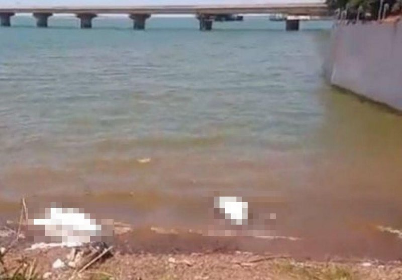 Região: Corpos de casal são encontrados no rio Tietê