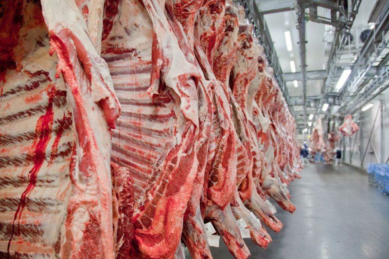 Exportações de carne podem fechar o ano de 2019 com resultado recorde