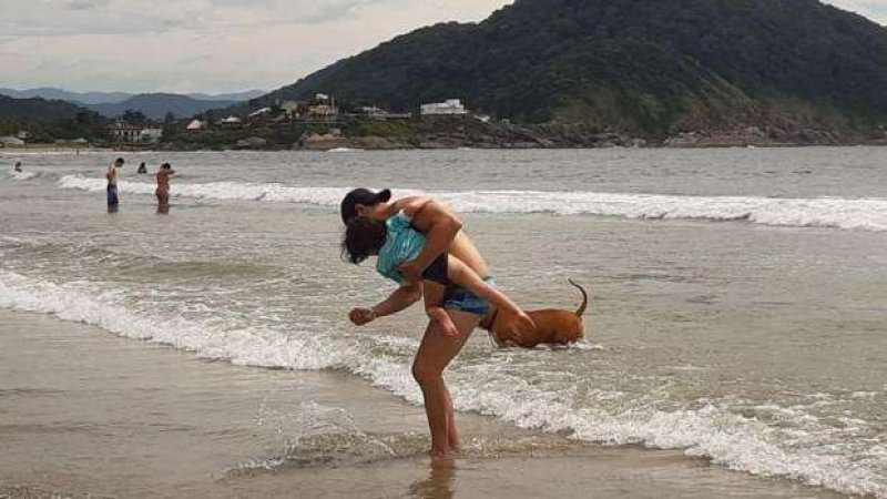 Homem salva criança atacada por cão no mar do Guarujá