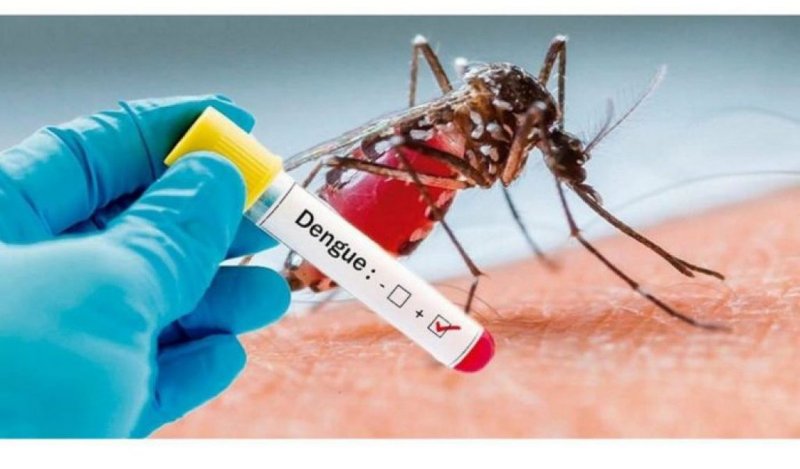 Araçatuba registra mais de 12 casos novos de dengue por dia