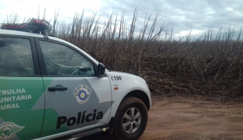 Polícia Ambiental multa usina em R$ 362 mil após incêndio em áreas rurais