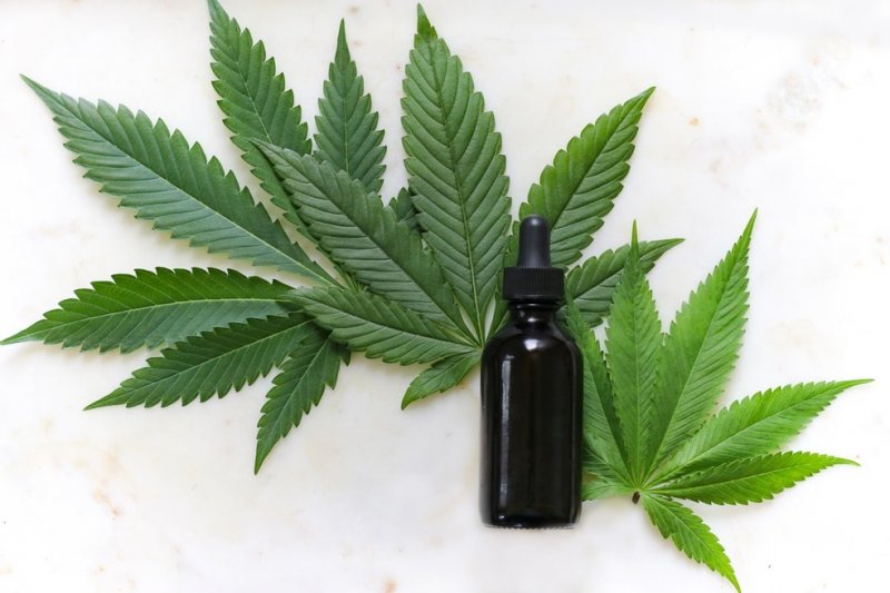 Óleo extraído da maconha tem eficácia no tratamento de pacientes com epilepsia